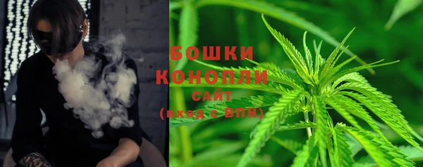 стаф Арсеньев