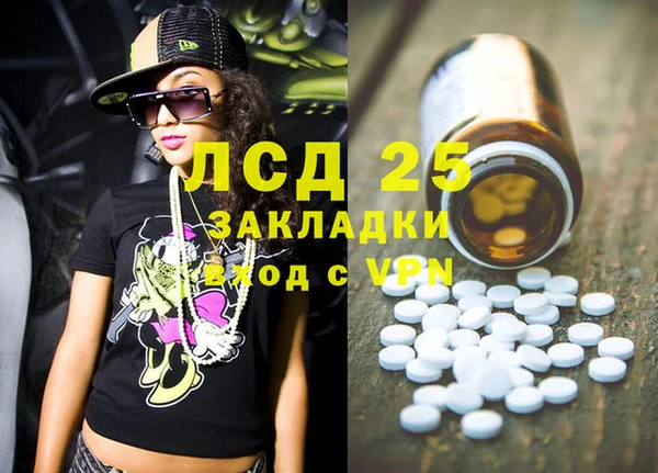 стаф Арсеньев