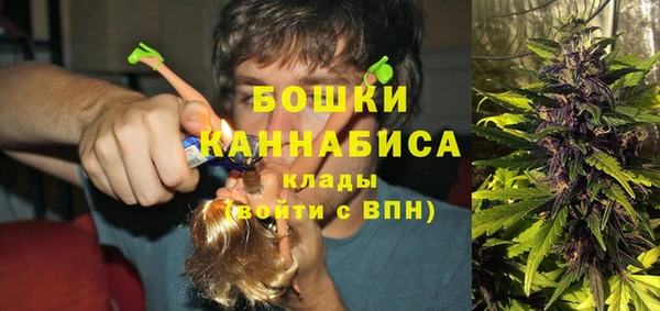 стаф Арсеньев