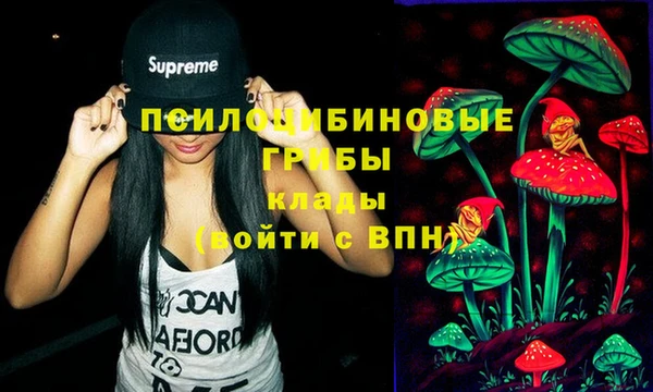 стаф Арсеньев