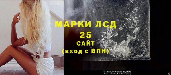стаф Арсеньев