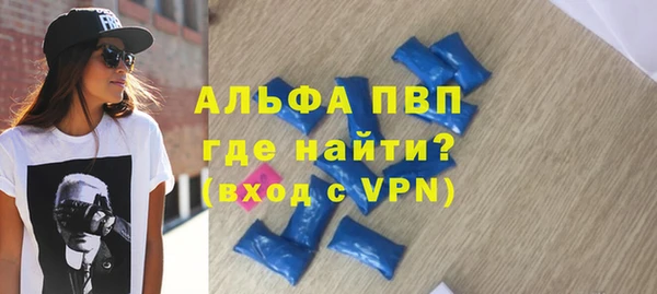 стаф Арсеньев