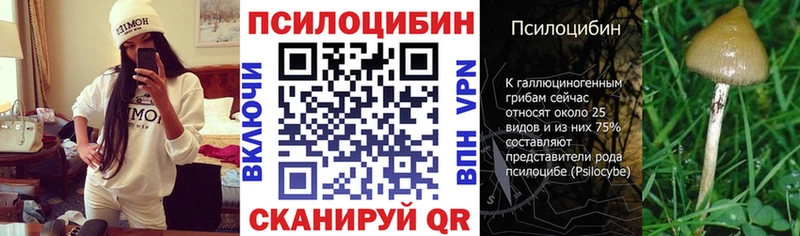 где найти наркотики  Темников  ОМГ ОМГ ТОР  Псилоцибиновые грибы ЛСД 